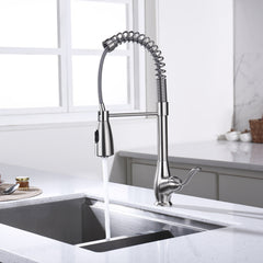 Kitchen Faucet - D3004B Brushed Nickel