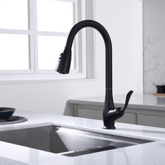 Kitchen Faucet - D3004 Matte Black