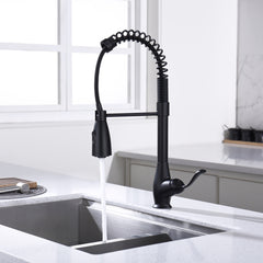 Kitchen Faucet - D3004B Matte Black