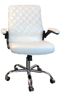 Daytona Customer Chair (Italy Leather)