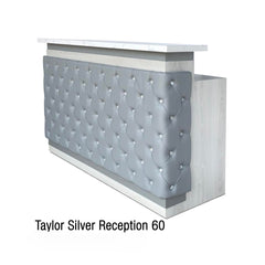 Taylor Silver Reception 60 Leather
