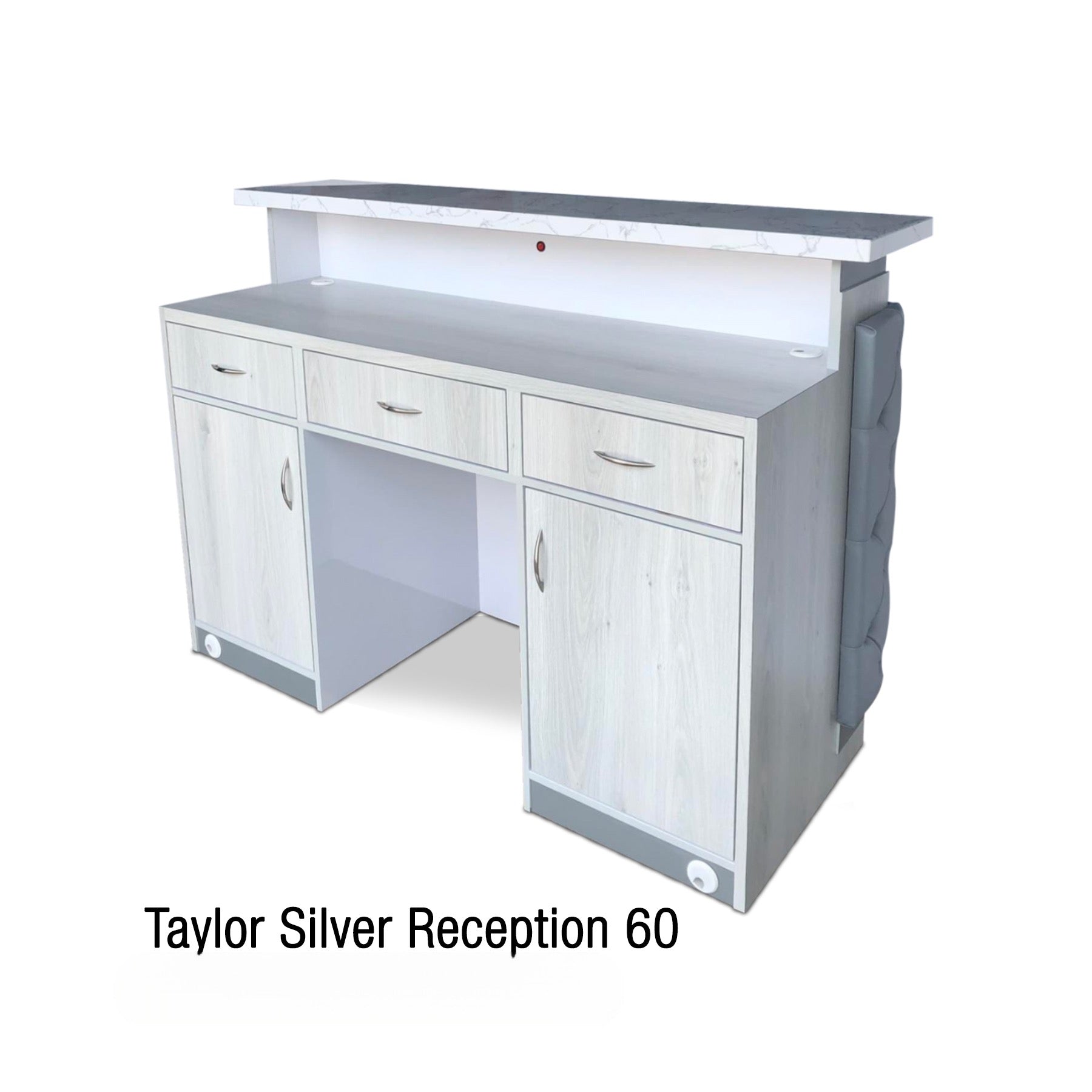 Taylor Silver Reception 60 Leather
